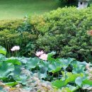 용골농원 이미지