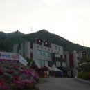 은행나무연수원