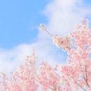 수아름필라테스 - 안산시 단원구 선부광장1로 38 | 수아름필라테스