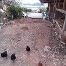 목화농원 이미지