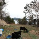 우리흑염소