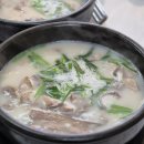 [충남/서산] 서산국밥 맛집 찾는다면? 국밥참맛있는집 서산읍내점 후기 🍲✨
