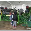 경산공룡박물관 이미지