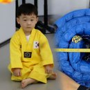 마이 태권도장 이미지