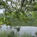 소금꽃정원 이미지