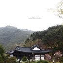 혼불