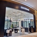 코코피부 이미지