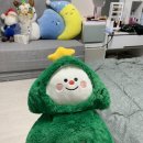 돼돈 이미지