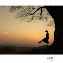 사랑나무아래