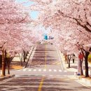 폴리한의원 이미지