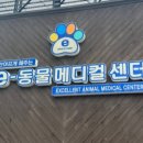 e-동물 메디컬 센터 이미지