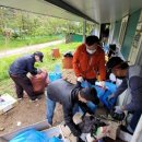 금강송면사무소 이미지