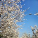 창원대로-1 이미지