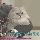 스카이닥터스 이미지