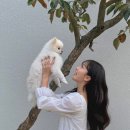 산척시골식당산척점 | 11월에 쓰는 10월중순의 이야기,,2/2 ⁽ˇ́˙̫ˇ̀˵⁾