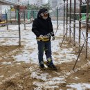 남악1로 이미지