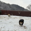 하구암리21 이미지