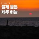나날 스테이 | 이호테우 해변 노을｜신라스테이에서 보낸 나만의 제주 일몰 시간
