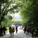 장동 산디마을입구 주차장 이미지