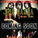 치즈스테레오 카카오 검색결과