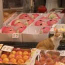 남촌농산 이미지