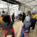 무용 성과발표회 이미지