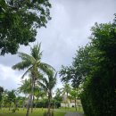 파파야레스토랑 | 보홀 비치 클럽 BBC(Bohol Beach Club) 객실 그린룸 + 아고타타 레스토랑 후기