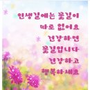 유쾌하게 살자 이미지
