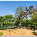 용진가정의학과의원 이미지