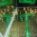 작은동물원수족관 이미지