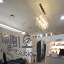 (주)셀비오 이미지