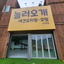 놀러오개 애견유치원 애견호텔 수원세류점 | [놀러오개 고기점]따근따근한 신상 용인애견유치원!!