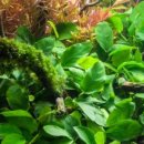 (주)후경 이미지