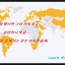 맘모스5호집