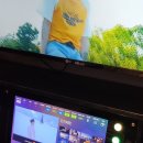 성수일구