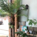 송신로-1 이미지