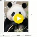 26.03.10 과제(블록페이징) 이미지