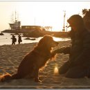 우리텍스 이미지