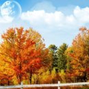 가야공인중개사 이미지