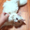 관상어프라자