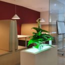 카페이룸 이미지