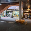 뷰티독 | 일산애견미용 [마이뷰티독 원마운트점] 애견미용 스트레스 없이 편안했던 후기