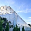 덕기목장 이미지