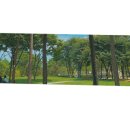 천일공인중개사사무소 이미지