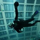 아쿠아수족관 이미지