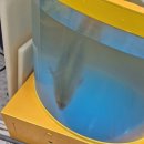 연후수산 이미지