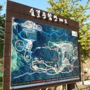자연과숲 - 14712 | 자연과숲