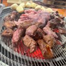 산적 통갈매기 세종점