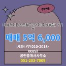 사과나무공인중개사사무소 | 명지동 매매 5억 6,000 - 사과나무(***-****-****)공인중개사사무소