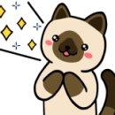 쿤-아일랜드 이미지